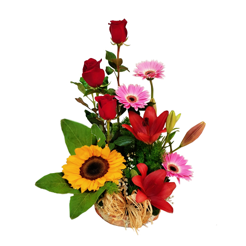 Tierno arreglo en eco base humectada con Girasol, Rosas, Liliums y Gerberas.