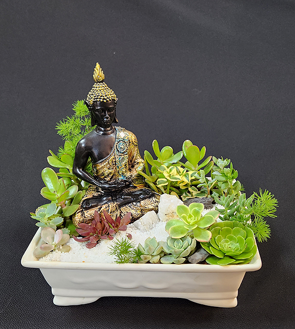 Arreglo de suculentas naturales variadas en macetero Bonsai cer&aacute;mico y figura de Buda Sidarta de resina. Las variedades de suculentas podr&iacute;an variar dependiendo de stock y temporada. Disponible solo para env&iacute;os dentro de Santiago, comunas cercanas y perif&eacute;ricas de la Regi&oacute;n Metropolitana